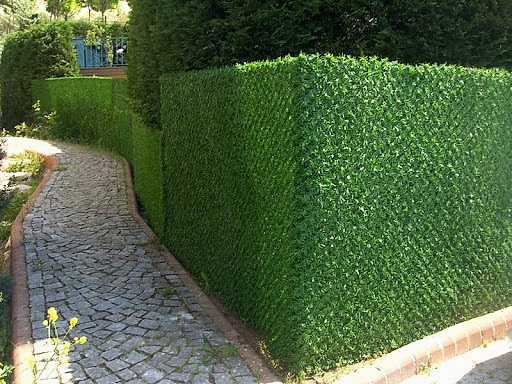 Çim Çit Panel mi, Tel Örgü Panel mi Çim çit mi tel örgü mü